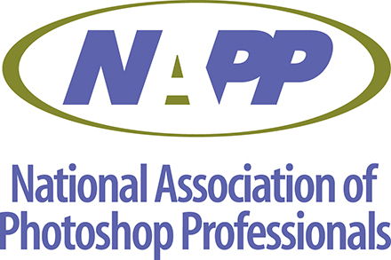 napp-logo